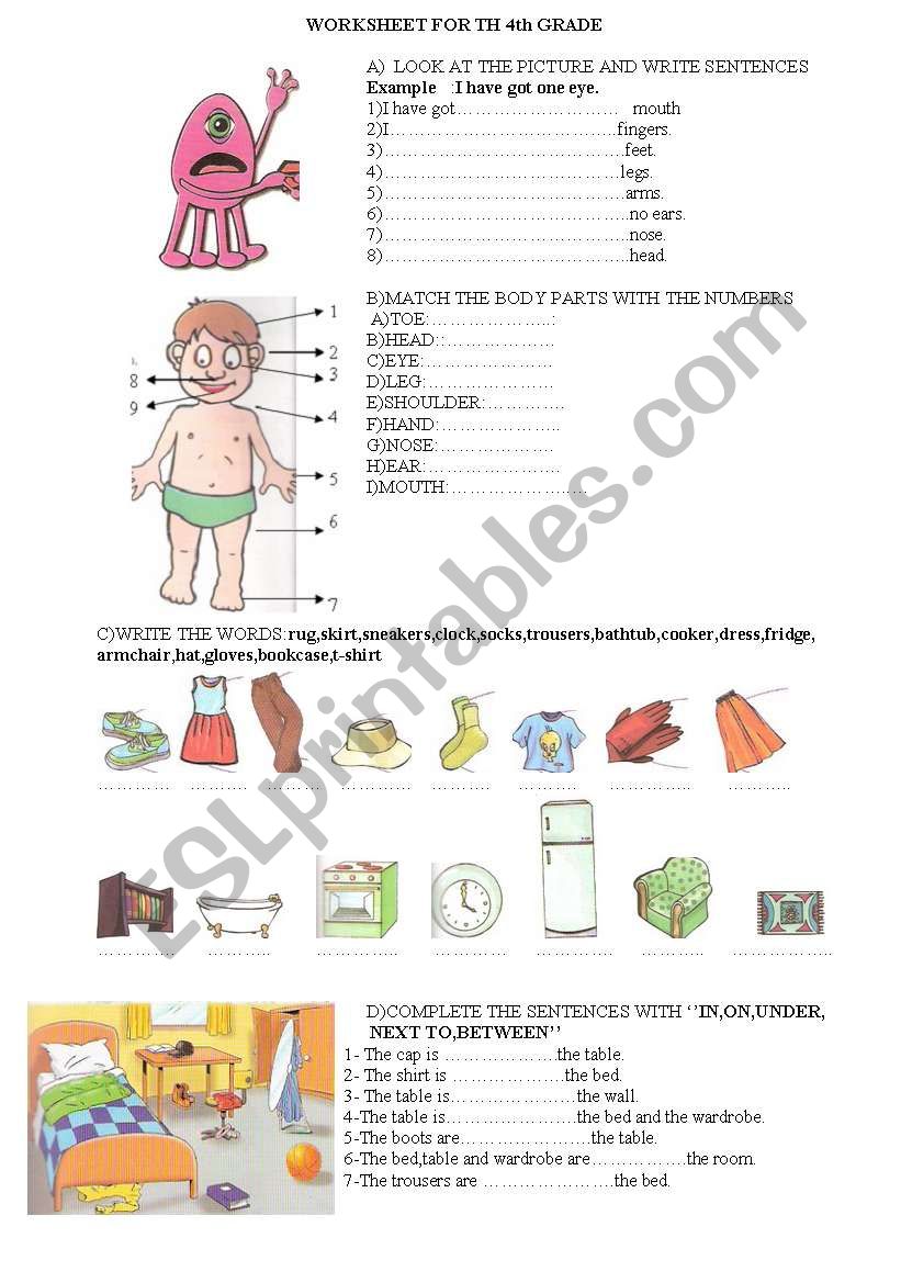 parts of the body worksheet