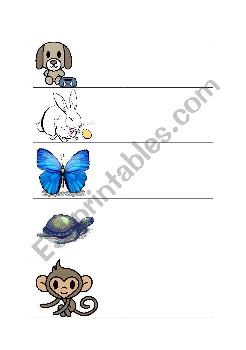 Animals description worksheet