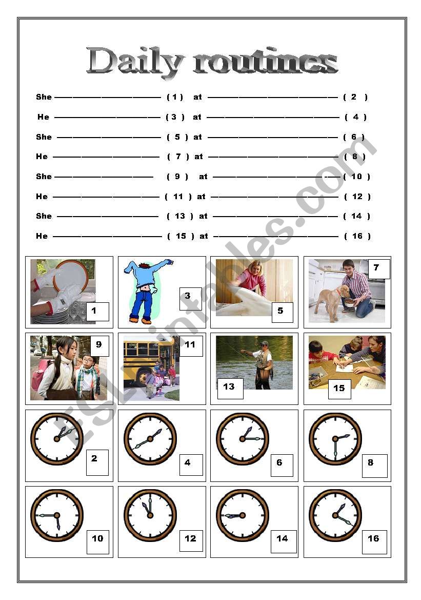 Daily routines worksheet