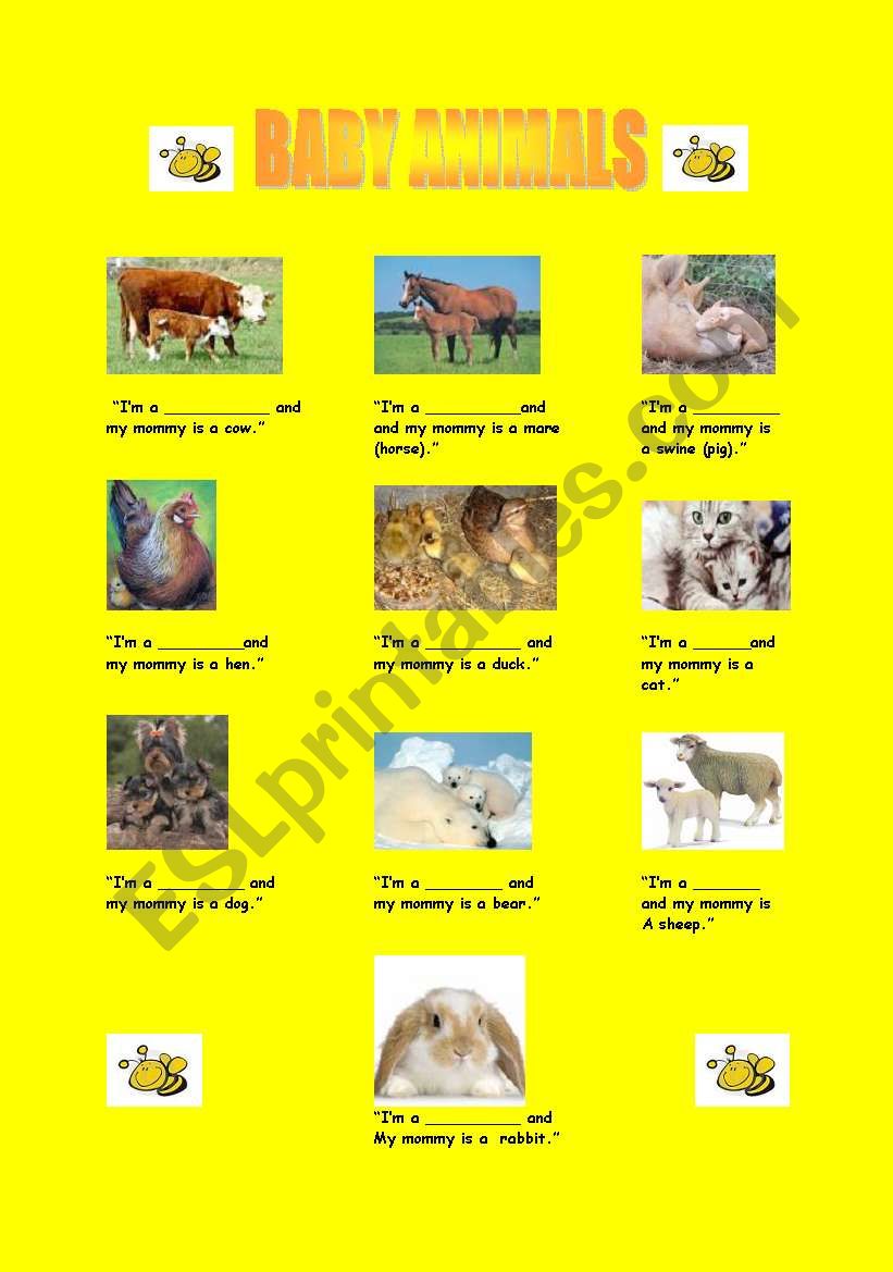 BABY ANIMALS worksheet