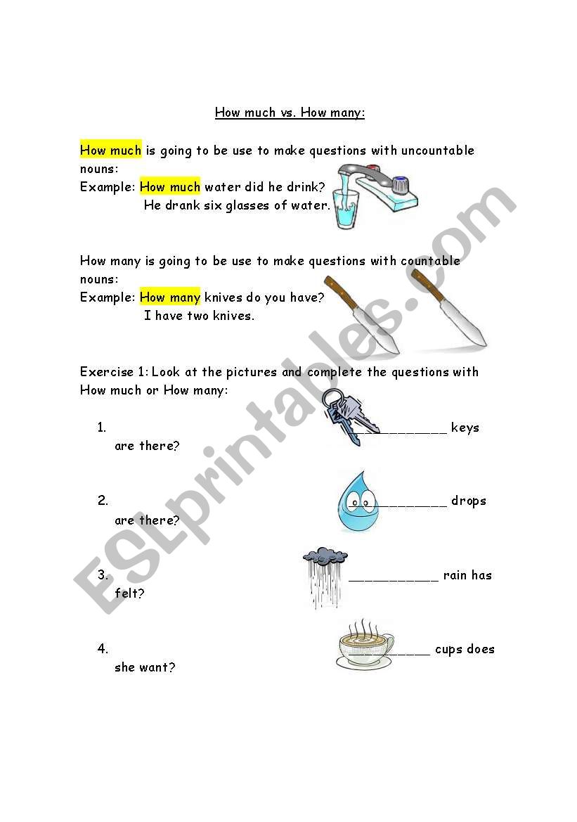 How much How many worksheet