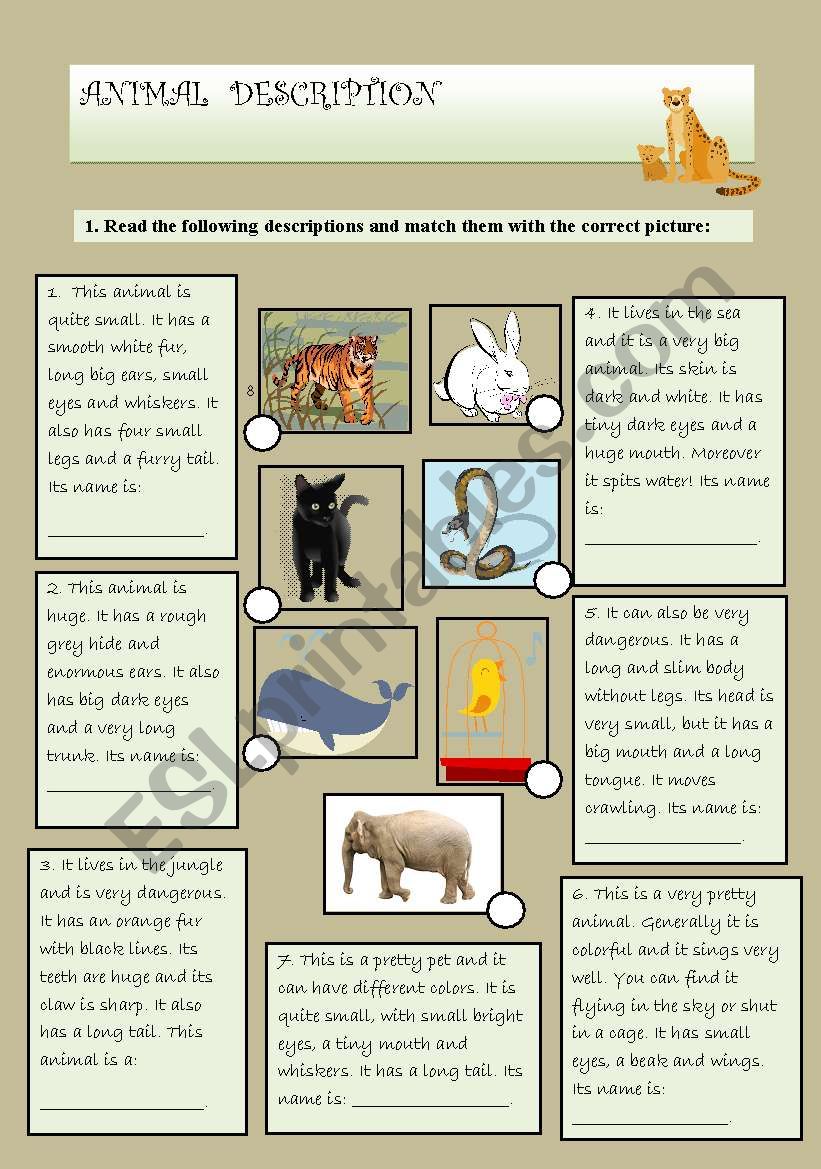 ANIMAL DESCRIPTION worksheet