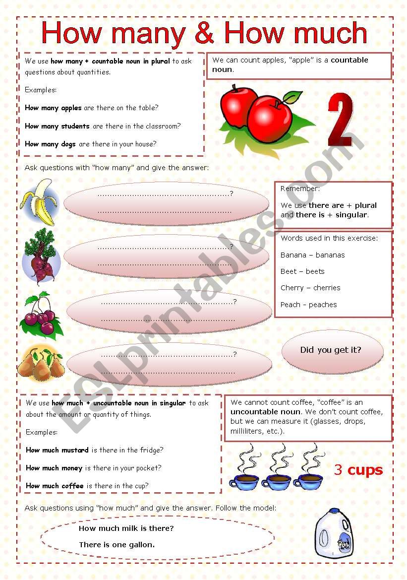 How many & how much worksheet