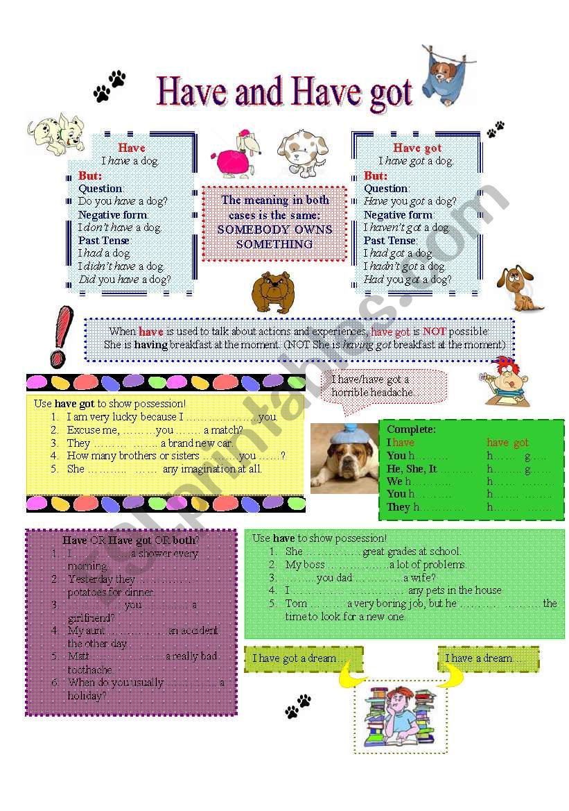 Have vs. Have got worksheet