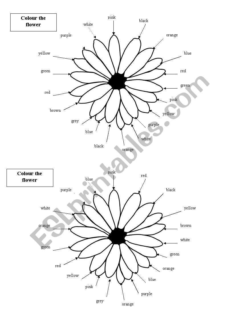 color the flowers worksheet