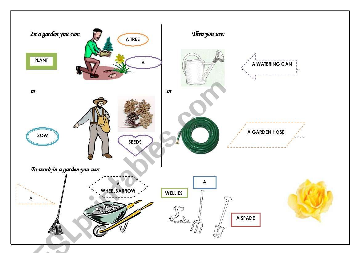 In a garden... worksheet