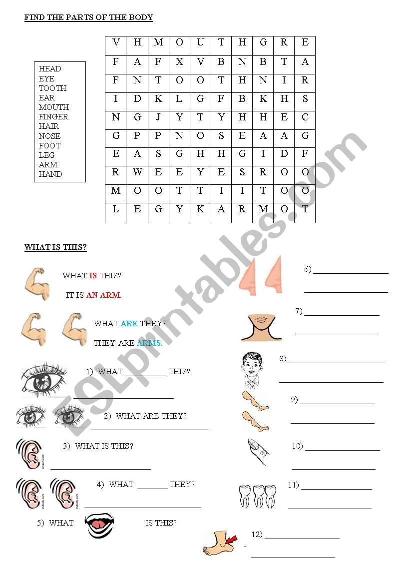 Body Parts worksheet