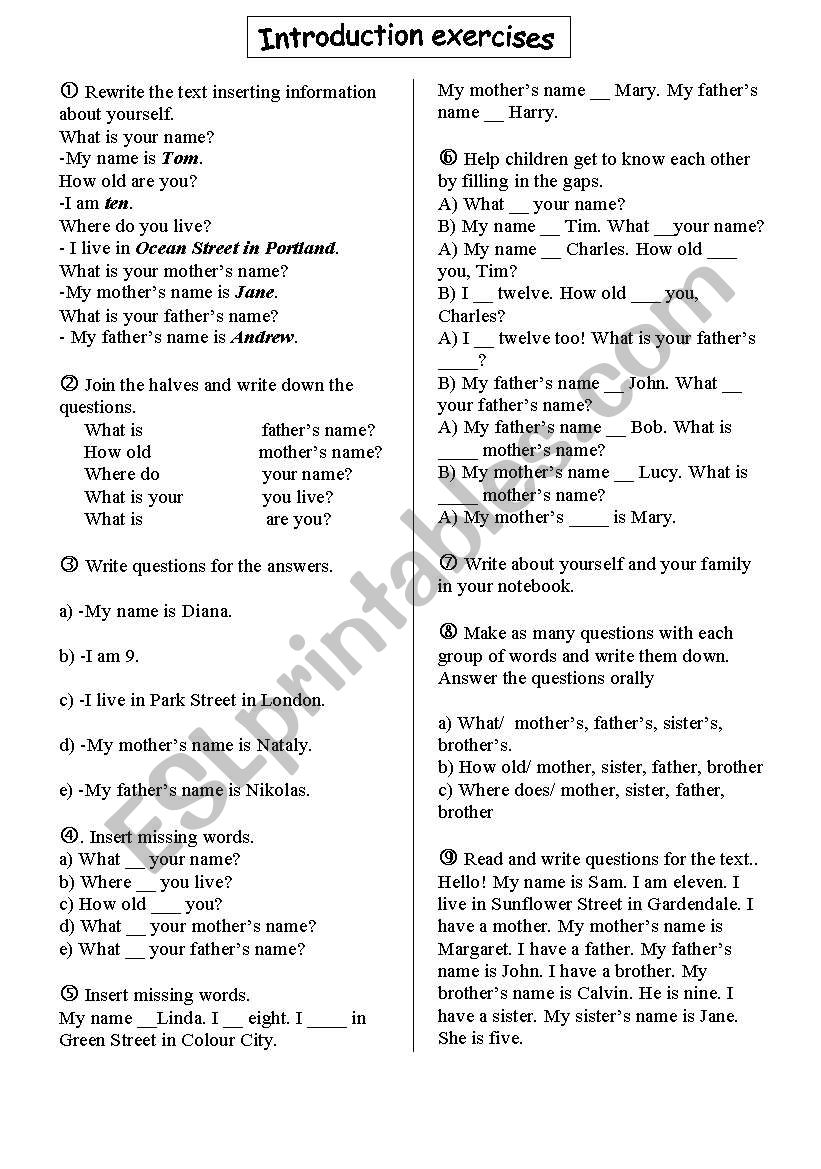introduction questions worksheet