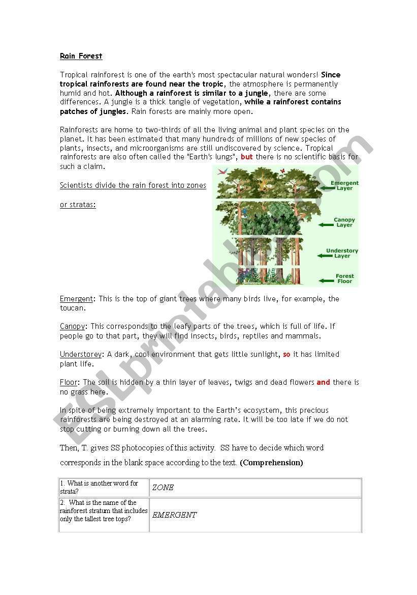 The Rainforests worksheet