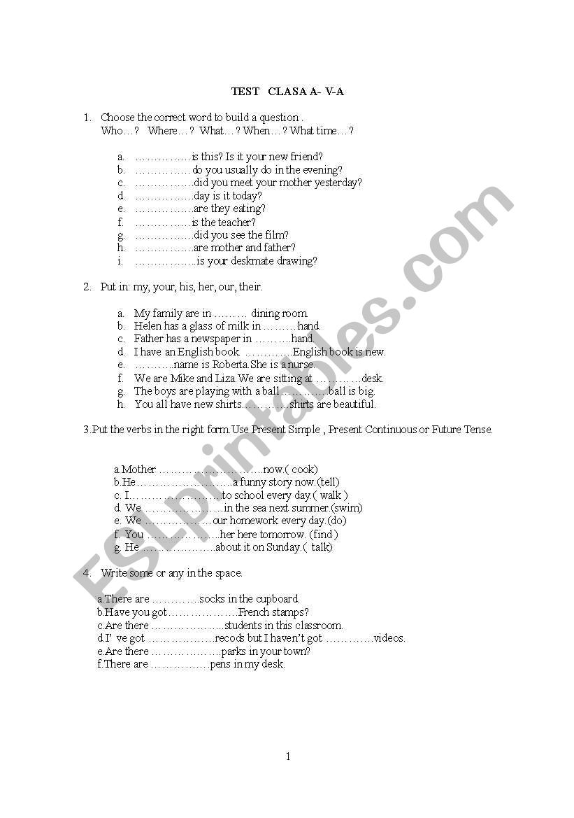 Test - 5th grade worksheet