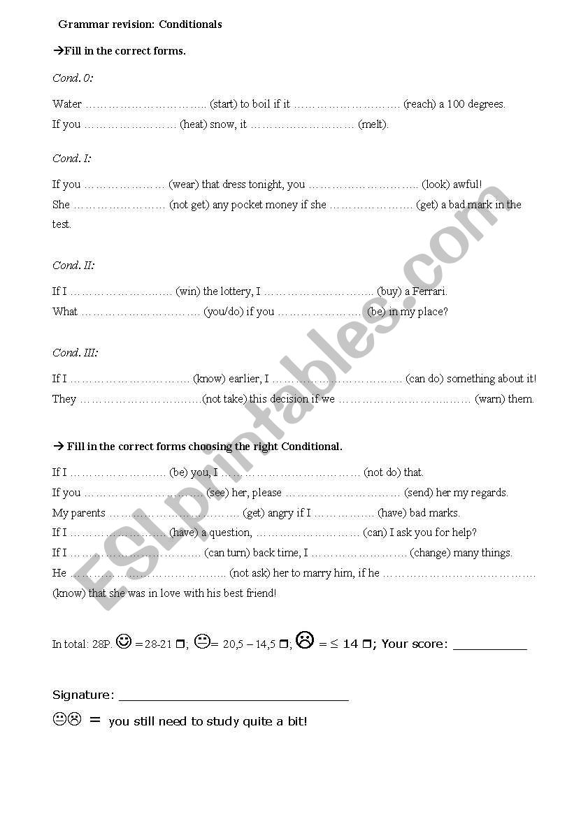 Conditionals Revision worksheet