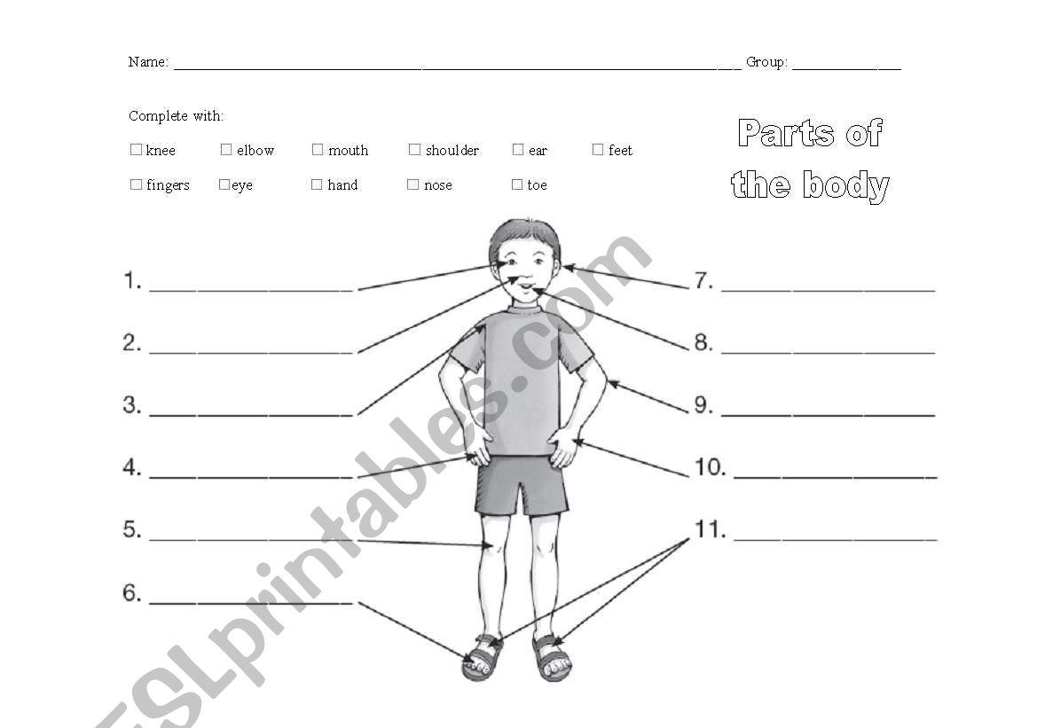 Parts of the body worksheet