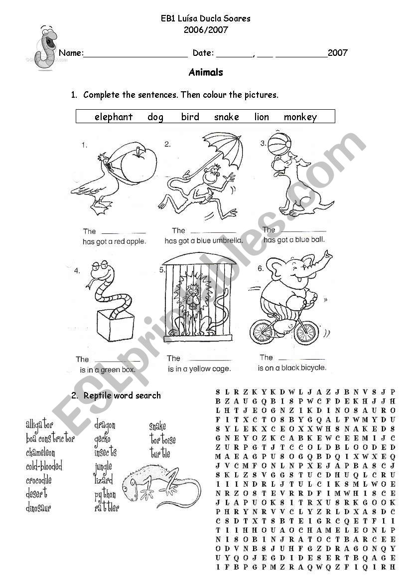 Animals worksheet