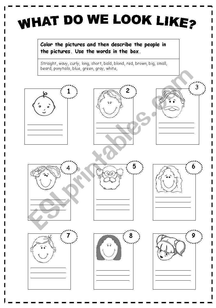What Do They Look Like Worksheet