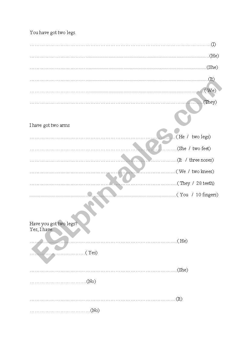 have got has got  worksheet