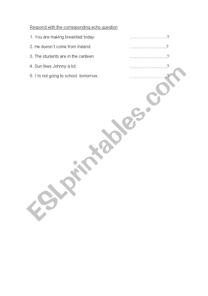 Echo questions worksheet