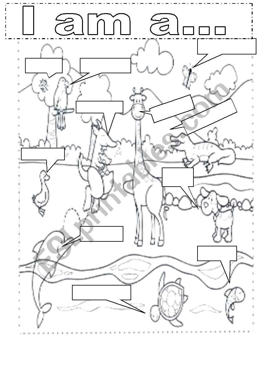 The names of  the animals worksheet