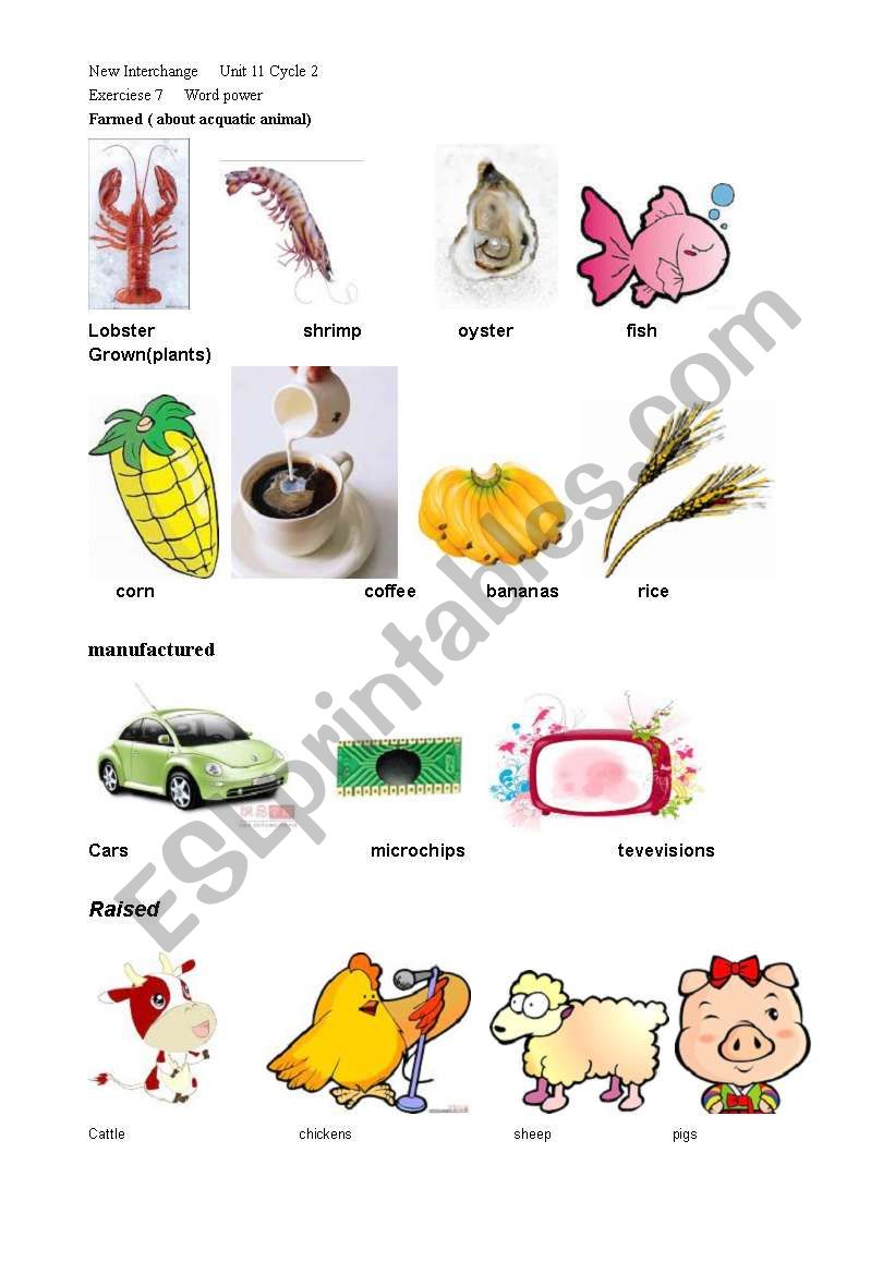 goods  where is it from worksheet