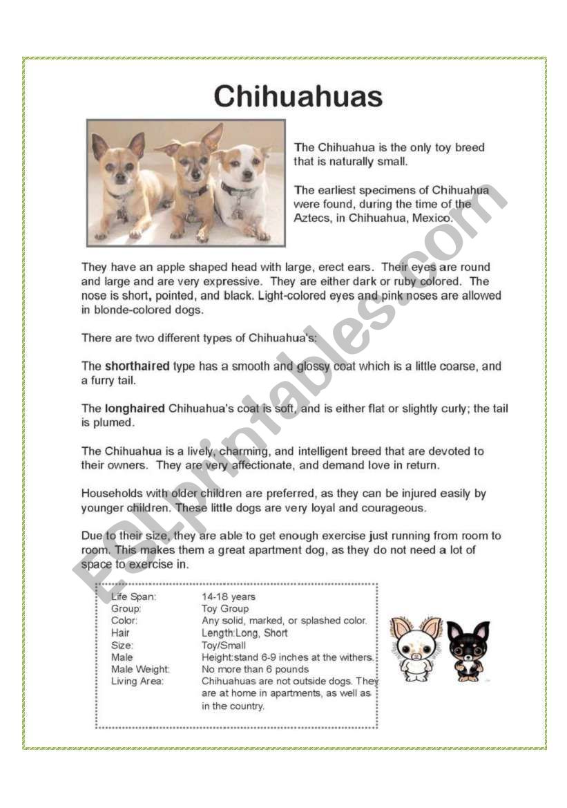 Chihuahua Dogs - Reading and Comprehension WS x2 - Adjectives...