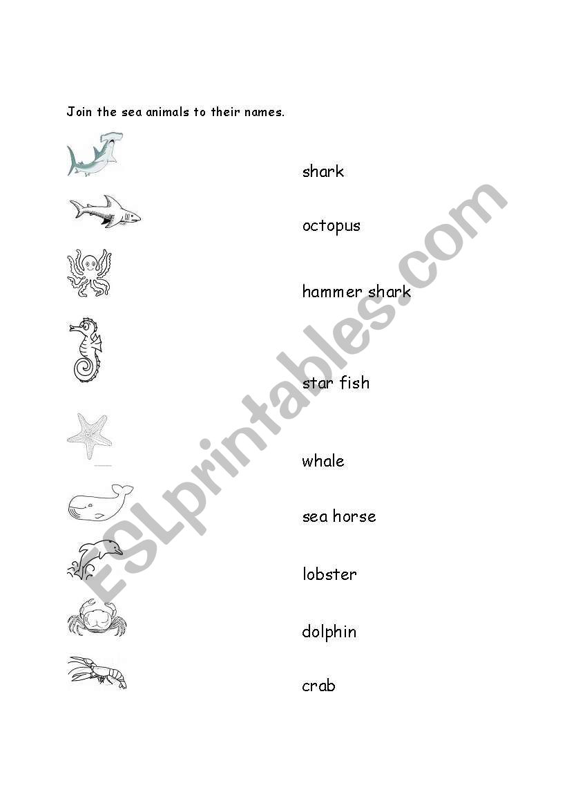 sea animals worksheet