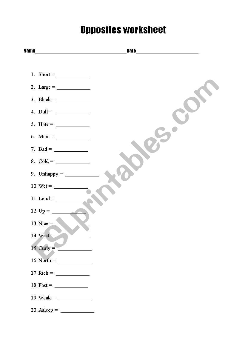 Opposites Worksheet worksheet