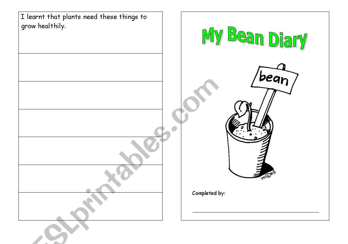 Bean Diary worksheet