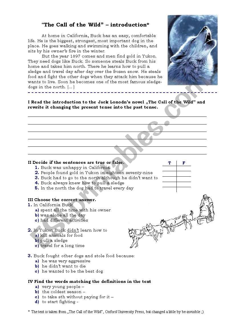 The Call Of The Wild Reading Past Simple Exercises Esl Worksheet By Be Invisible