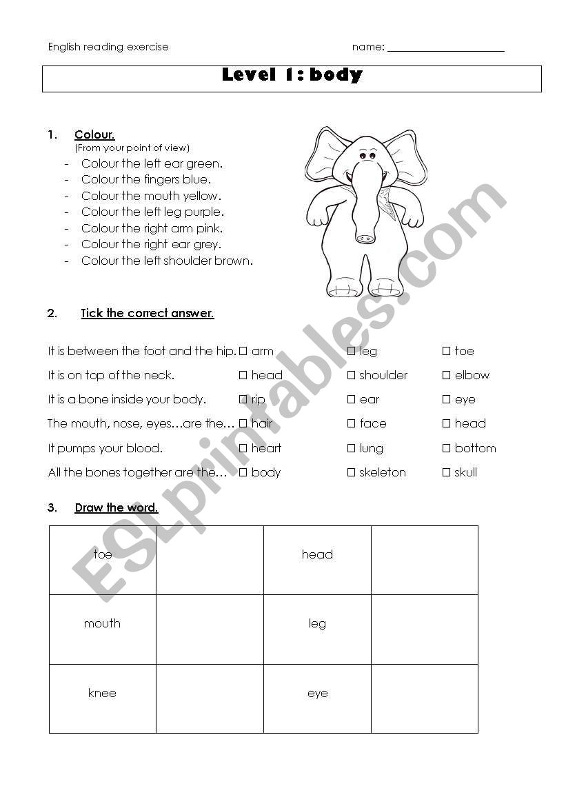 Reading exercise body worksheet