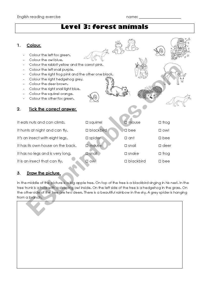 reading exercise forest animals