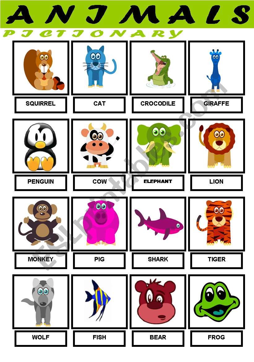 Animals Pictionary worksheet