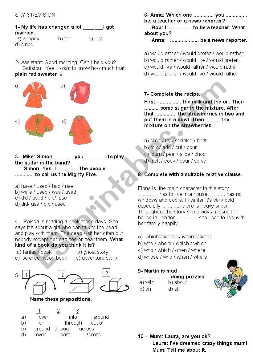 sky 3 general revision test worksheet