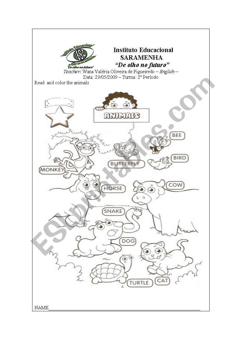 the animals worksheet