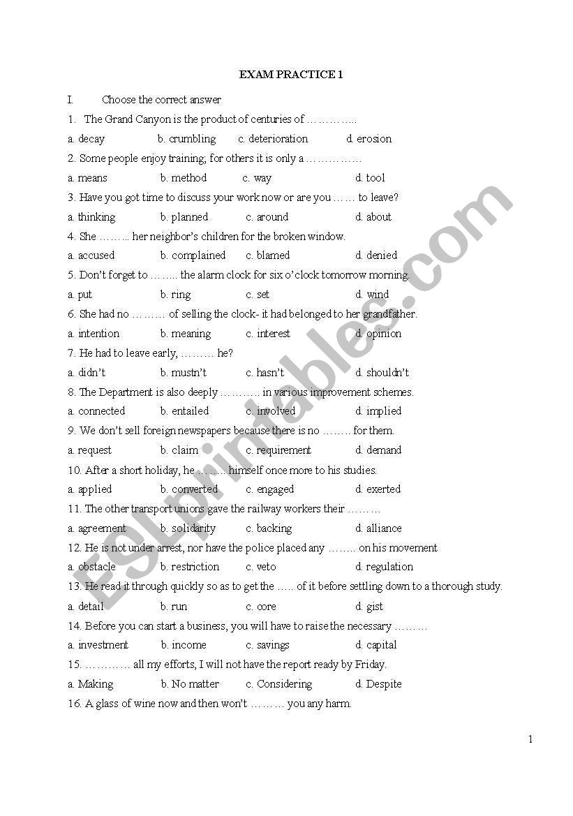 Grammar & Vocabulary Pratice worksheet