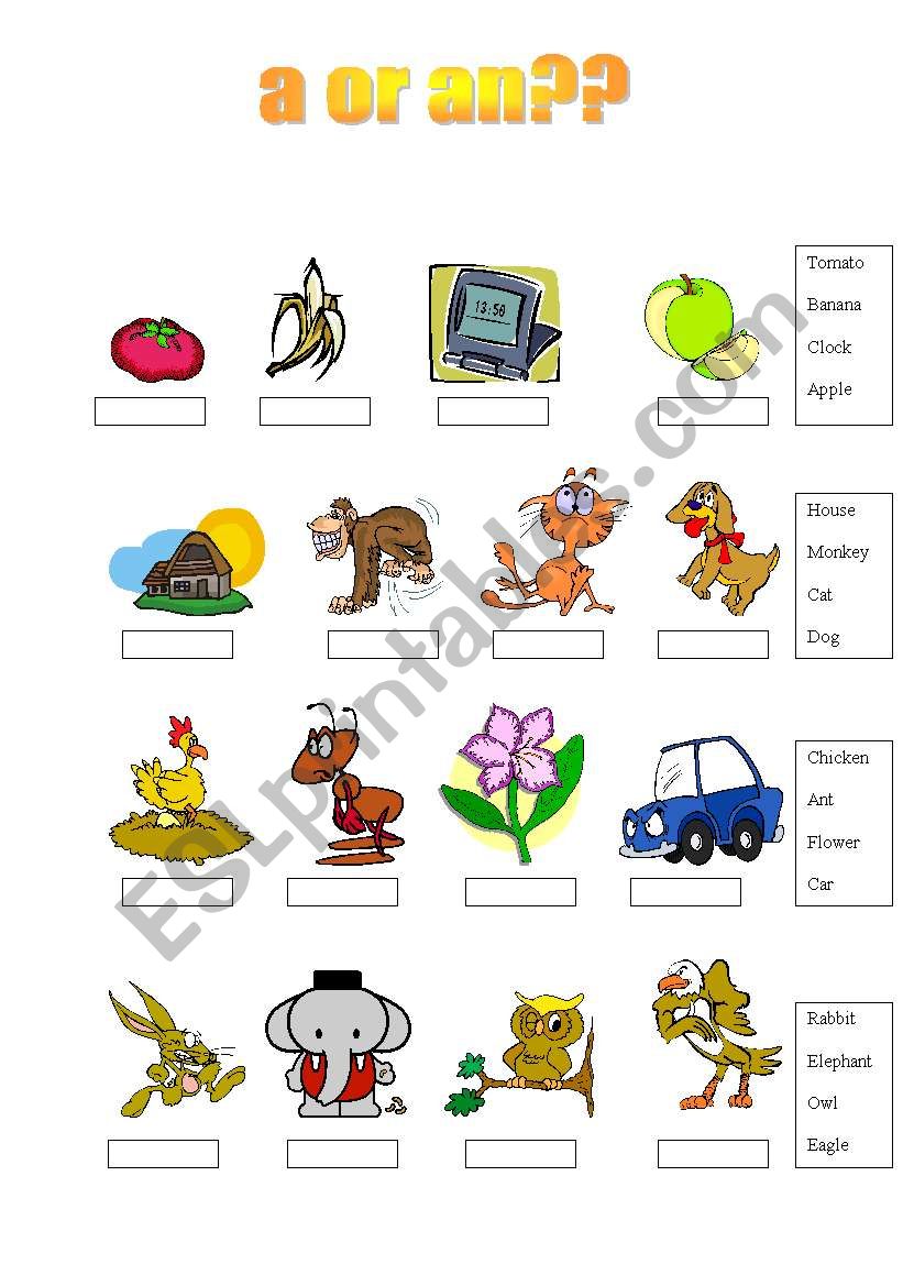 a or an? worksheet