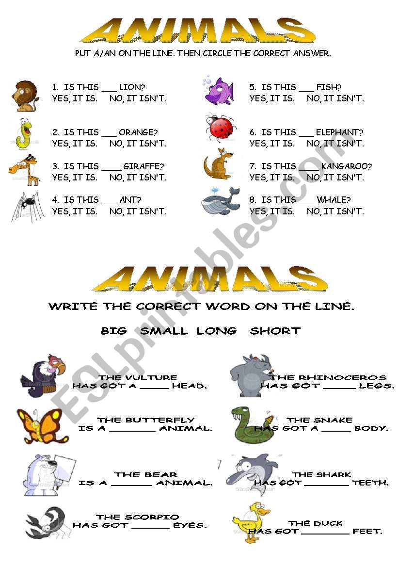 animals basic worksheet