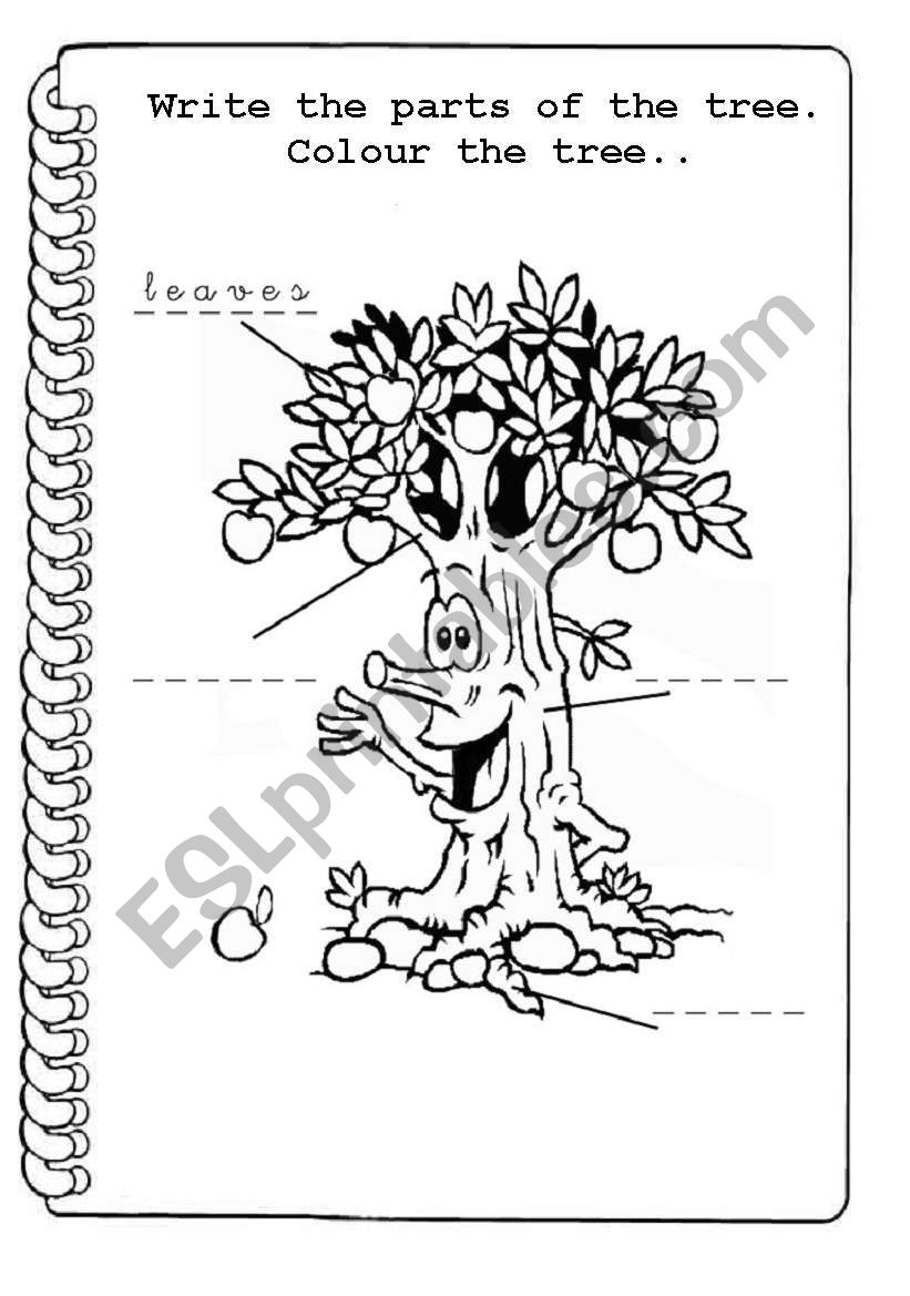 parts of a tree 2 worksheet