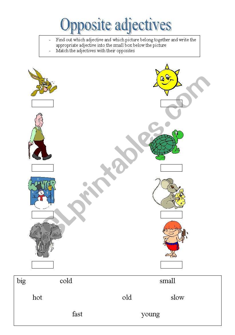 Opposite adjectives worksheet