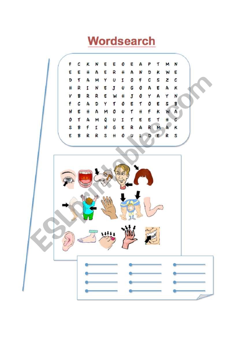 Human Body Wordsearch worksheet