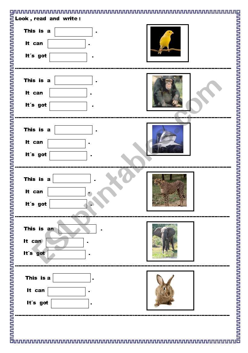 animals , actions and parts of their bodies