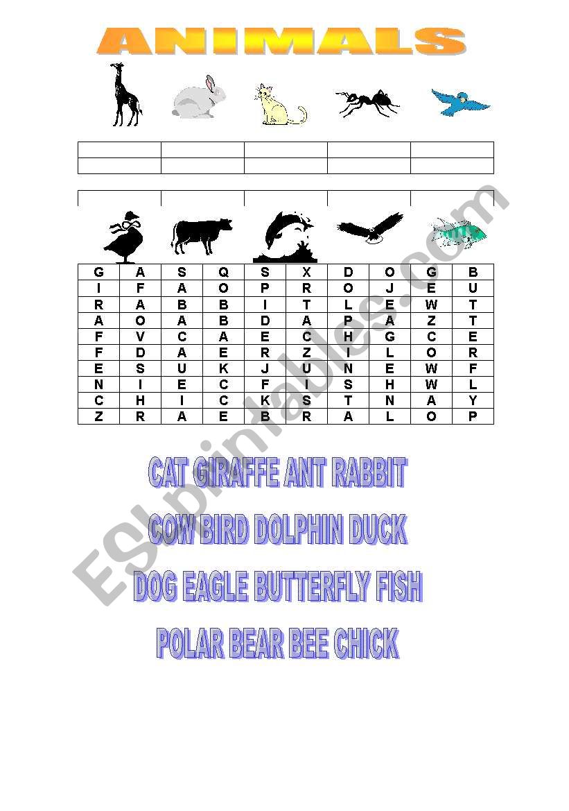 Animals worksheet