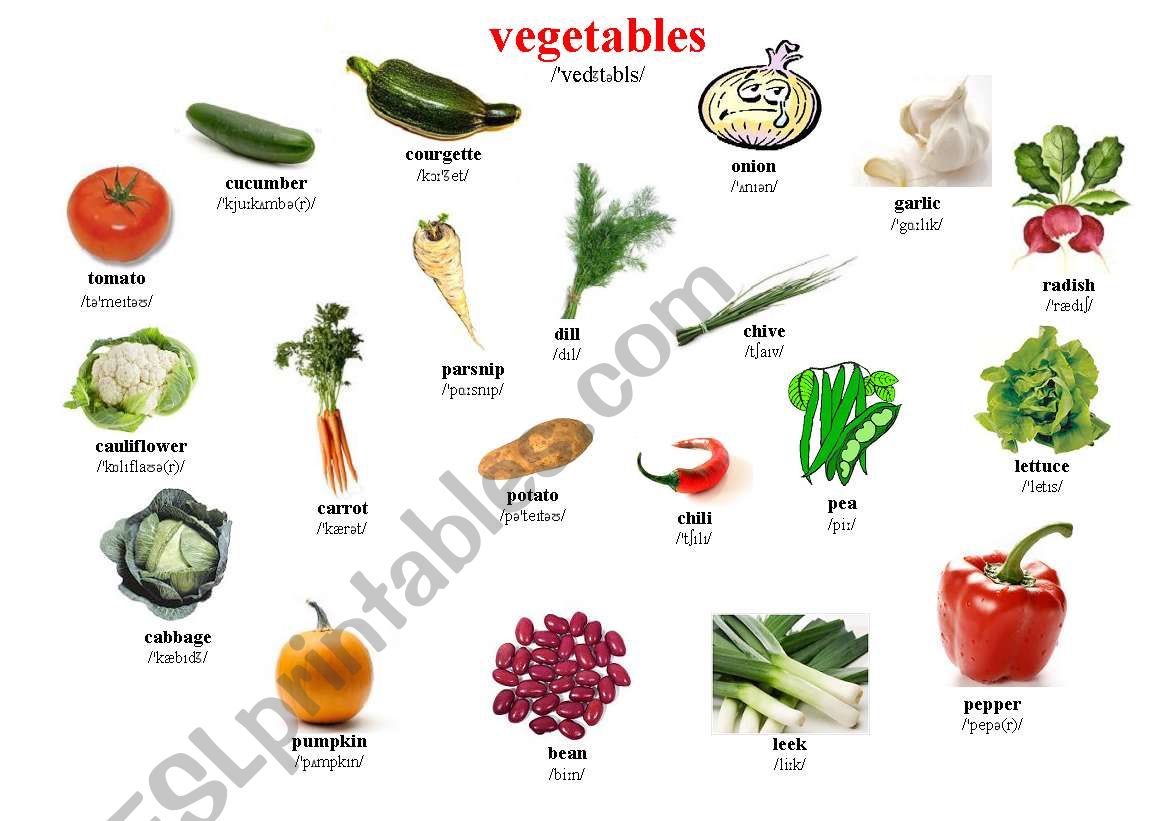 Vegetables worksheet