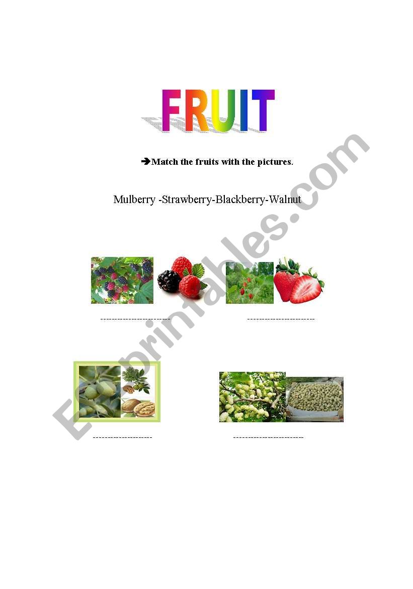 frut-1 worksheet