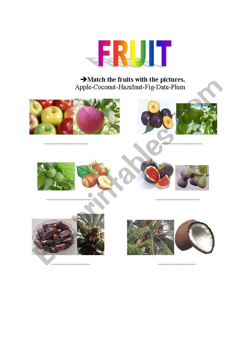 Frut-2 worksheet