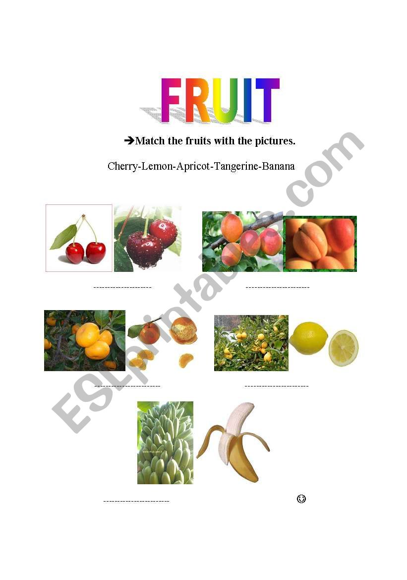 frut-3 worksheet