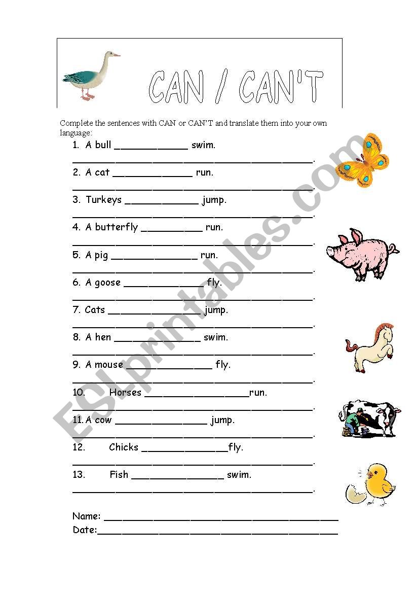 Can or cant worksheet