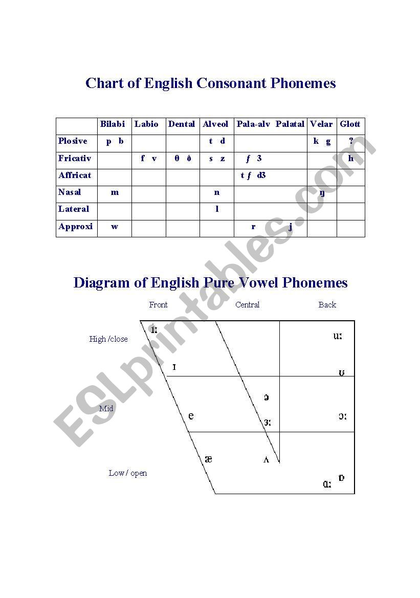 Chart of English Consonant Phonemes