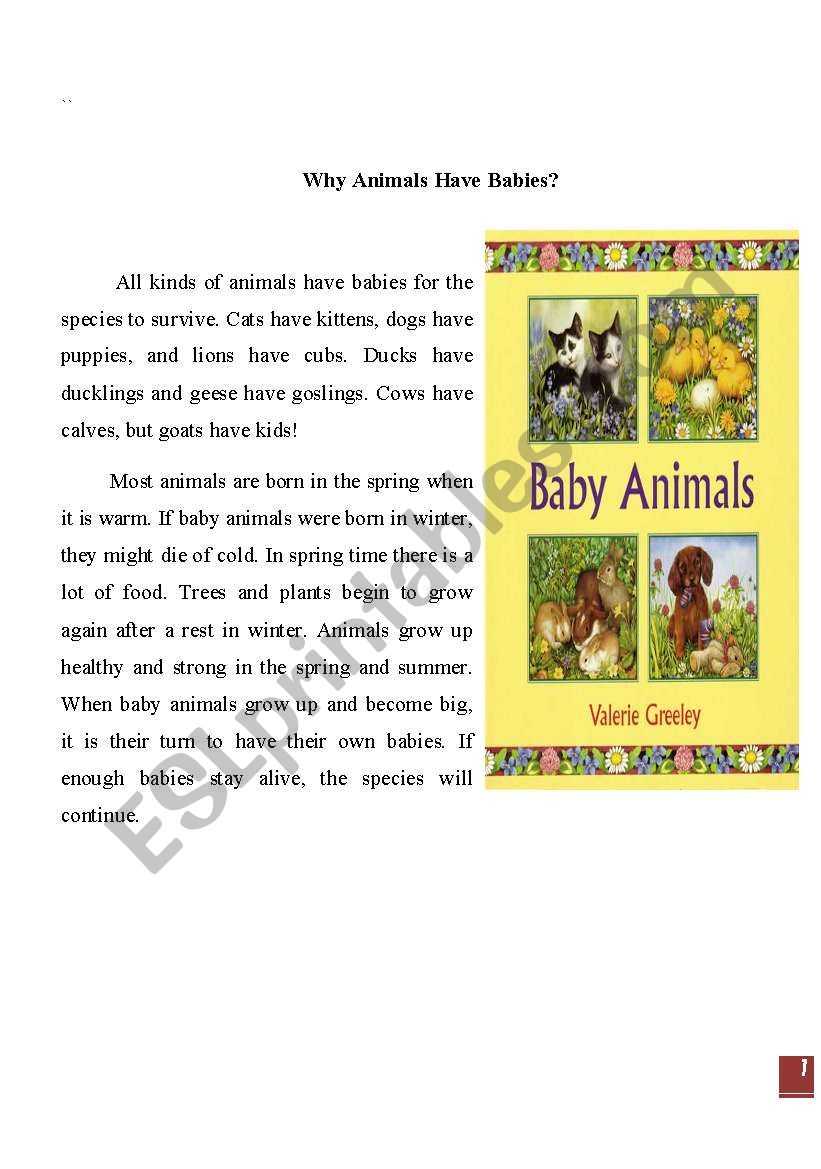 animals worksheet