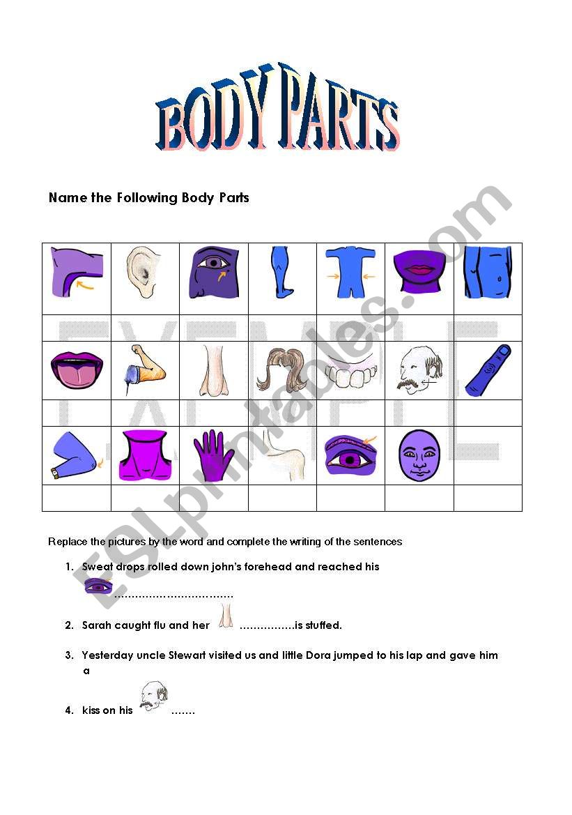 Body Parts worksheet