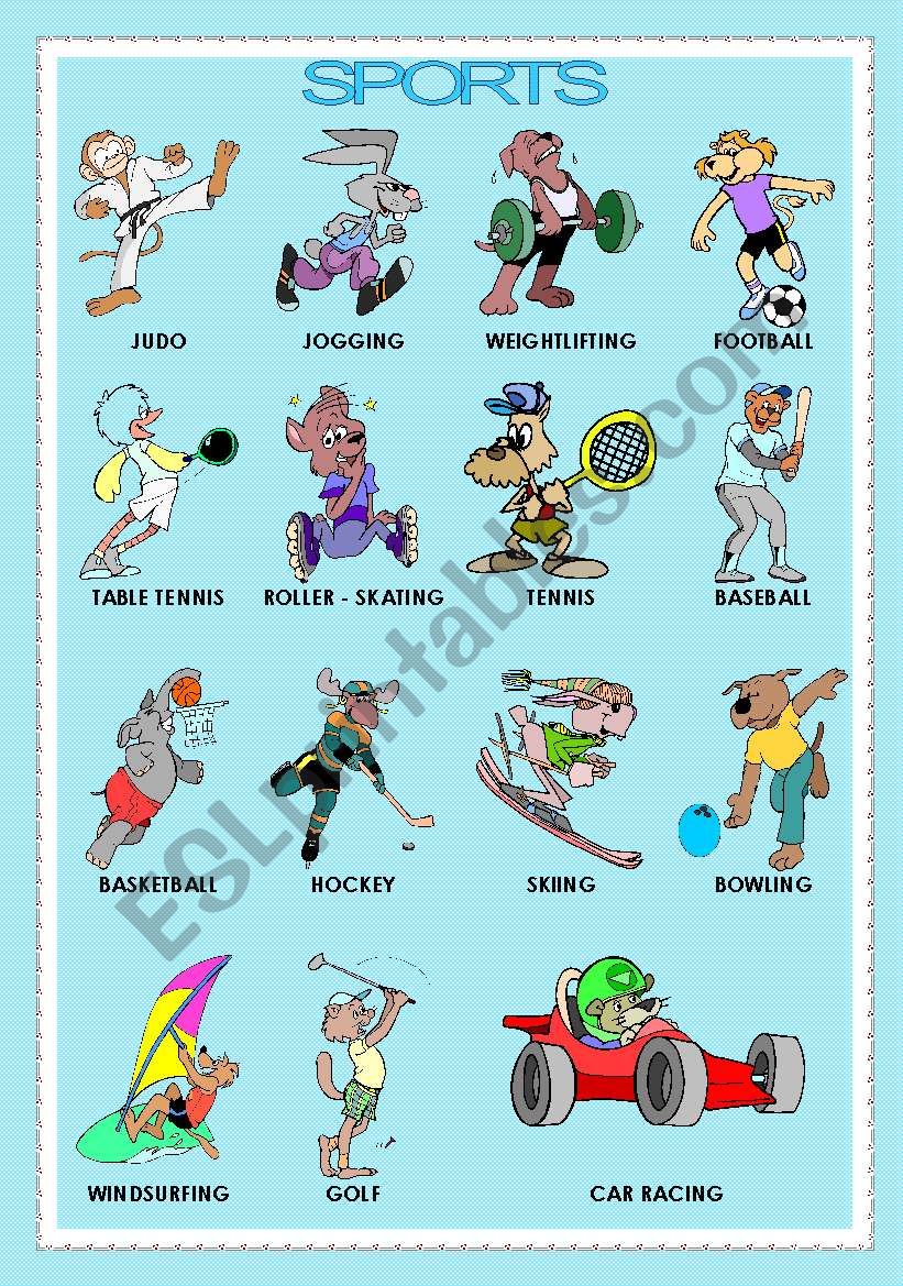 SPORTS presented by ANIMALS worksheet