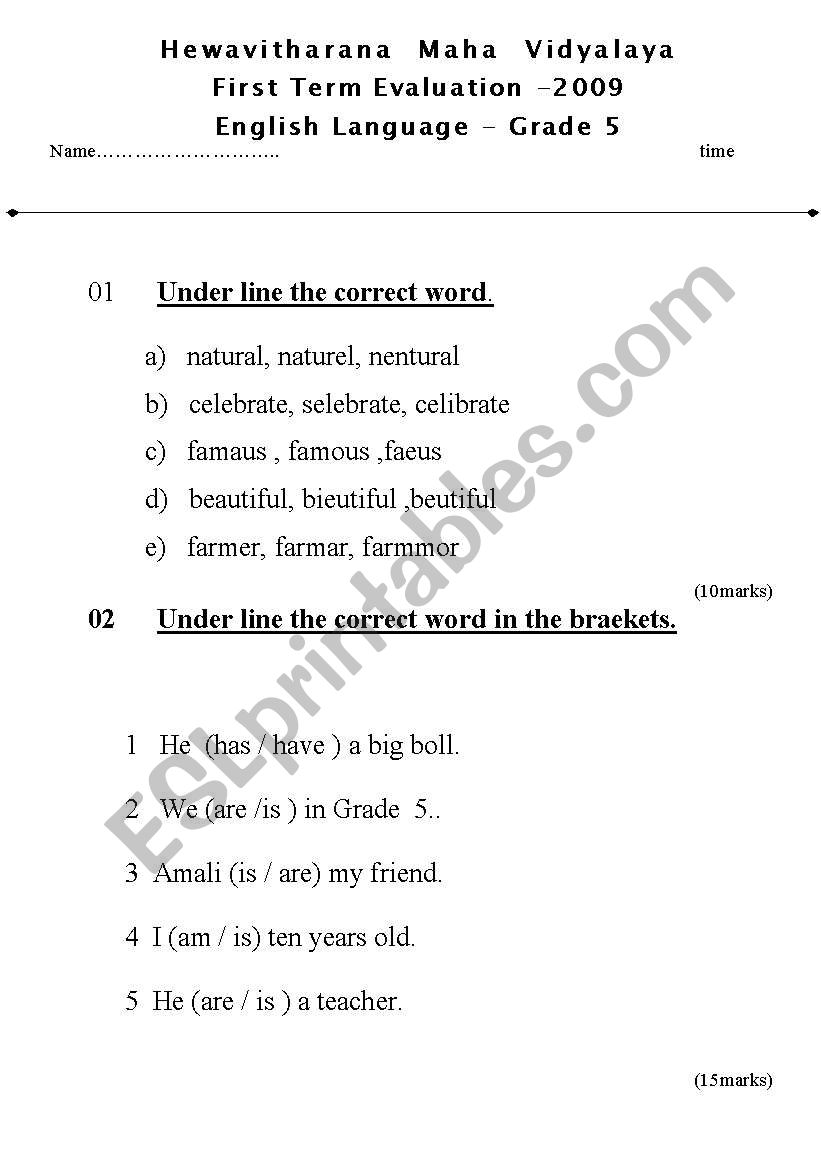 First Term Evaluation  worksheet